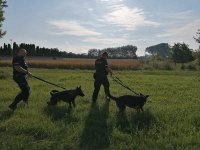 Policjanci  z psami podczas poszukiwań