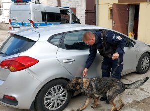 podwórko na którym zaparkowany jest samochód osobowy koloru srebrnego, przy samochodzie przewodnik psa służbowego i pies wykonujący węszenie