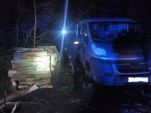 policjanci wykonują czynności podczas kontroli drogowej busa z kradzionym drewnem z lasu.