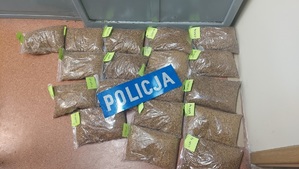 ZABEZPIECZONA PRZEZ POLICJANTÓW KRAJANKA TYTONIOWA.