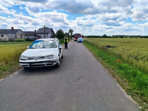 policjanci wykonujący czynności na miejscu wypadku drogowego.