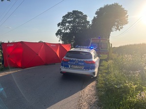 policjanci wykonujący czynności na miejscu wypadku.