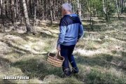 grzybiarz w lesie.