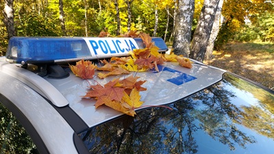 Policja w Kutnie przypomina zasady bezpiecznego grzybobrania dla seniorów
